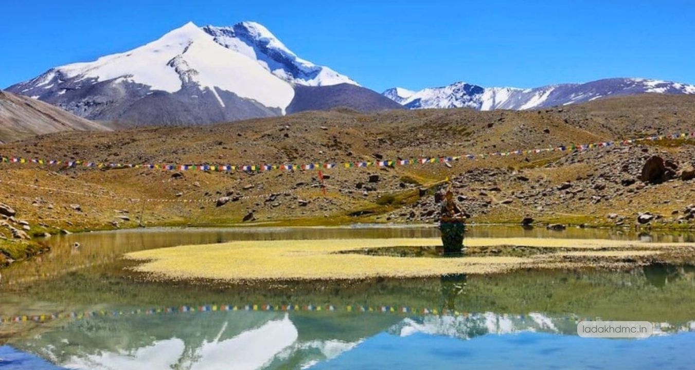 Wildlife in Hemis National Park including Himalayan species and rugged terrain