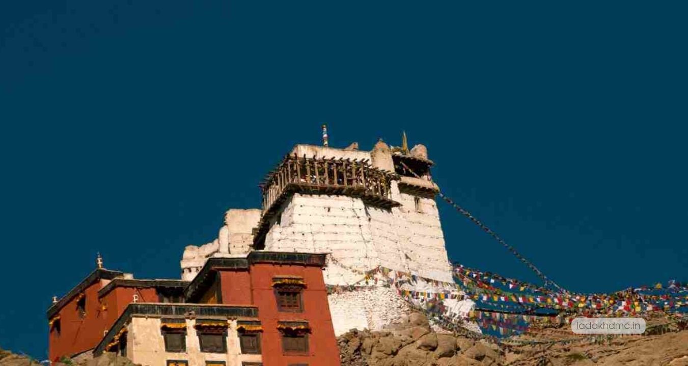 Wide panoramic view of Leh Palace highlighting its historic architecture and surroundings