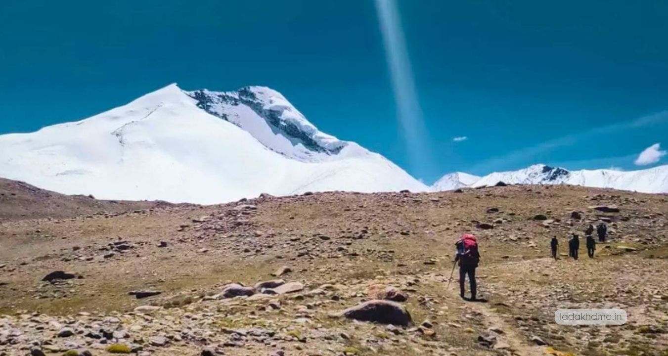 Markha Valley showing vibrant Himalayan meadows and changing light under clear skies