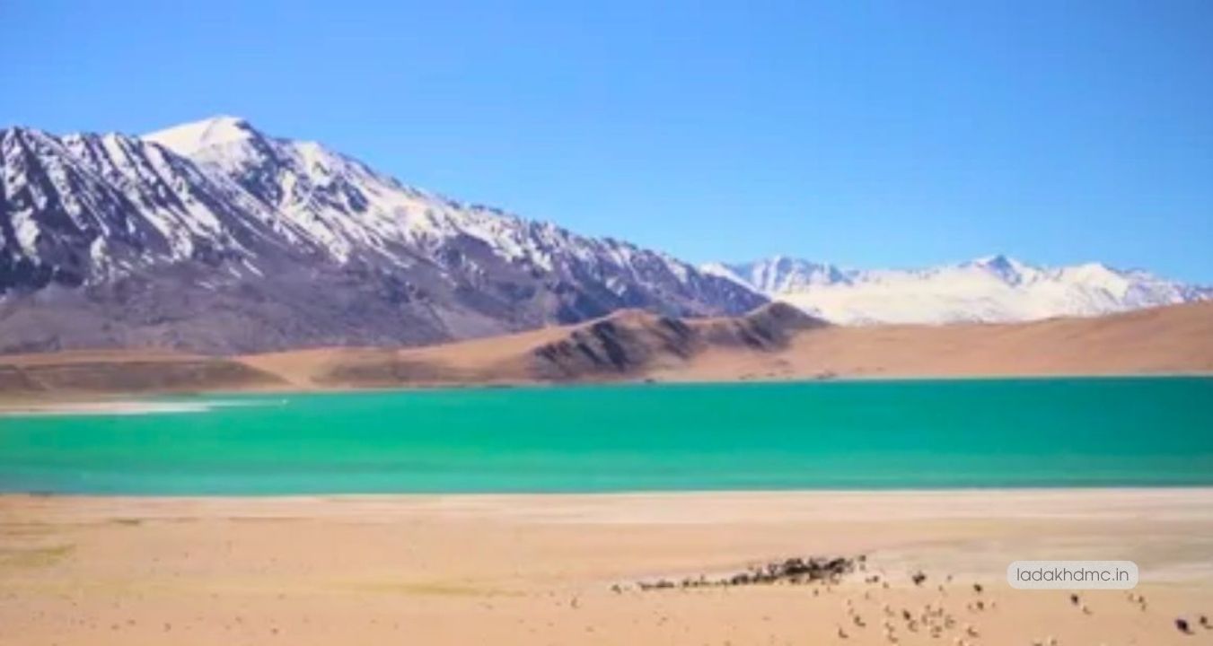 Mirpal Tso Lake showing shimmering turquoise and blue hues under clear Himalayan skies