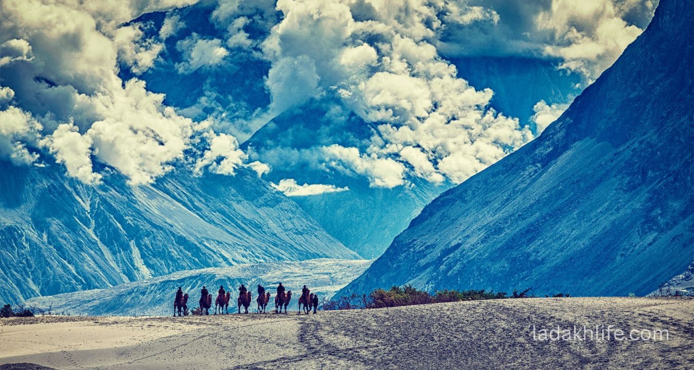 Nubra Valley surrounded by rugged Himalayan mountains, sand dunes, and pristine natural beauty
