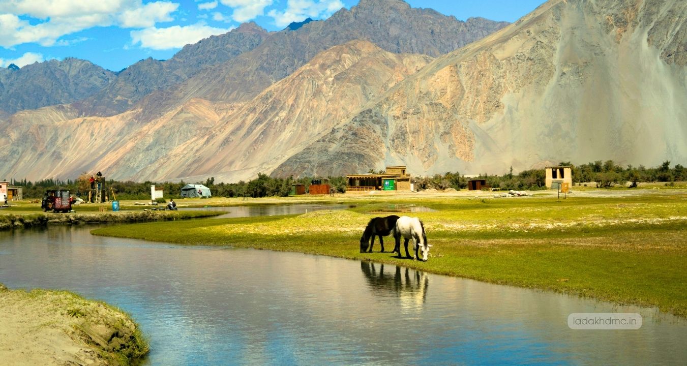 Nubra Valley landscape with sand dunes, mountains, and Bactrian camels in Ladakh