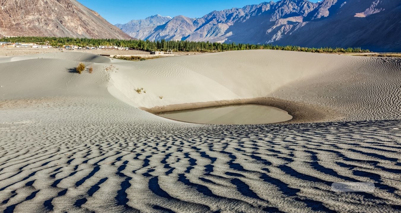 Hunder Sand Dunes - golden sand dunes with Bactrian camel safaris
