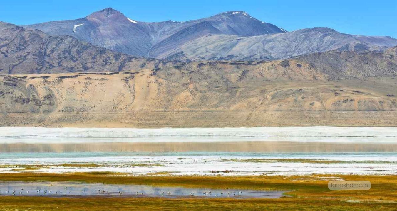 Tso Kar Lake showing shimmering blue and green hues under clear Himalayan skies