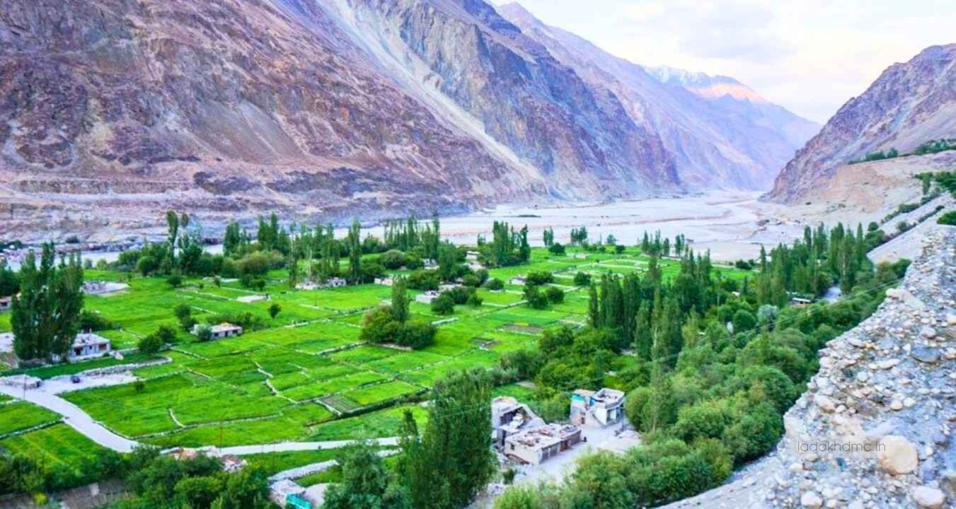Turtuk Village in Nubra Valley with traditional stone houses and surrounding mountains in Ladakh