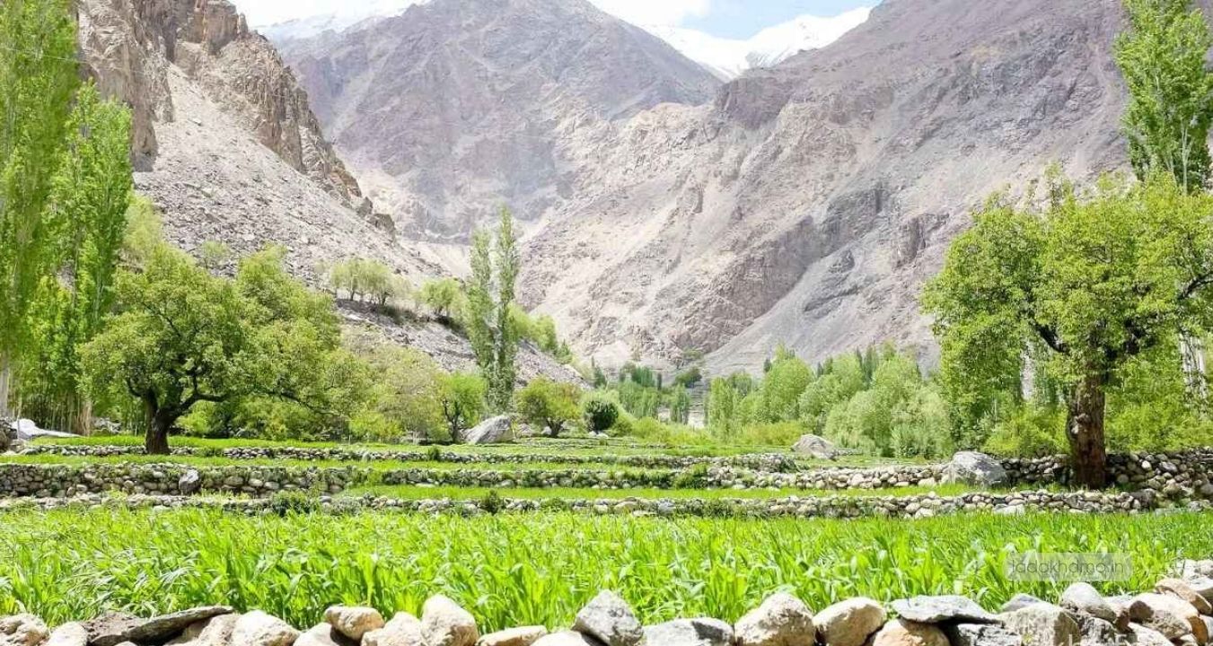 Turtuk village leh